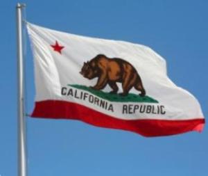 California is highly known for its grizzly bears.